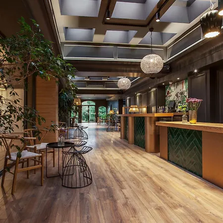 布兰科酒店及水疗中心 酒店 4*